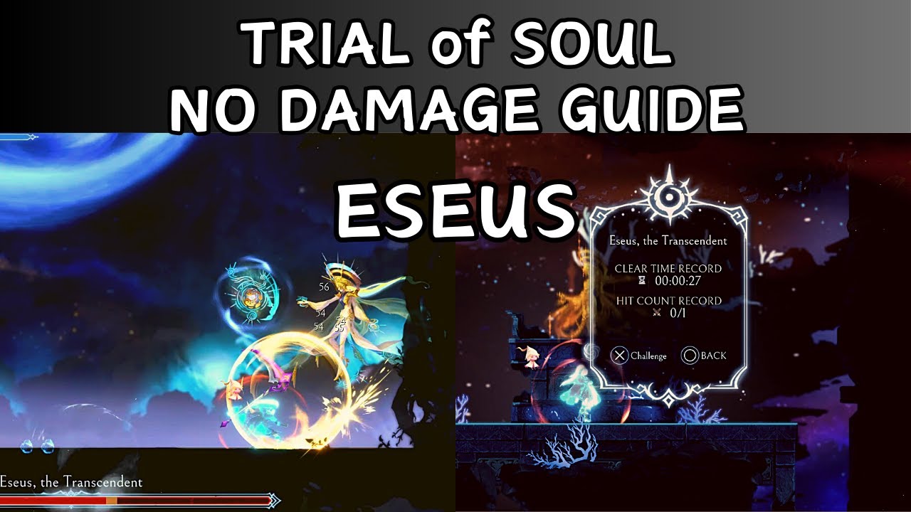 Afterimage - Eseus the Transcendent No Damage (Trial of Soul)