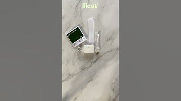 Keep your cat SAFE! #Lilcat