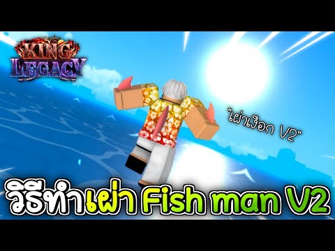 วิธีทำเผ่าเงือก Fish man V2 เผ่าที่ดีที่สุด🐟King Legacy Update 4.5.0