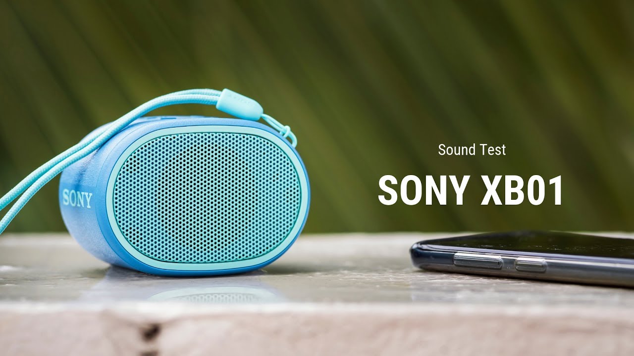 sony srs xb01 price