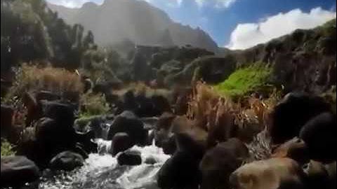 أجمل تلاوة تسمعها ./ الشيخ عبدالله الموسى .