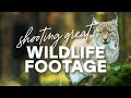 Tips For Shooting Great Wildlife Footage