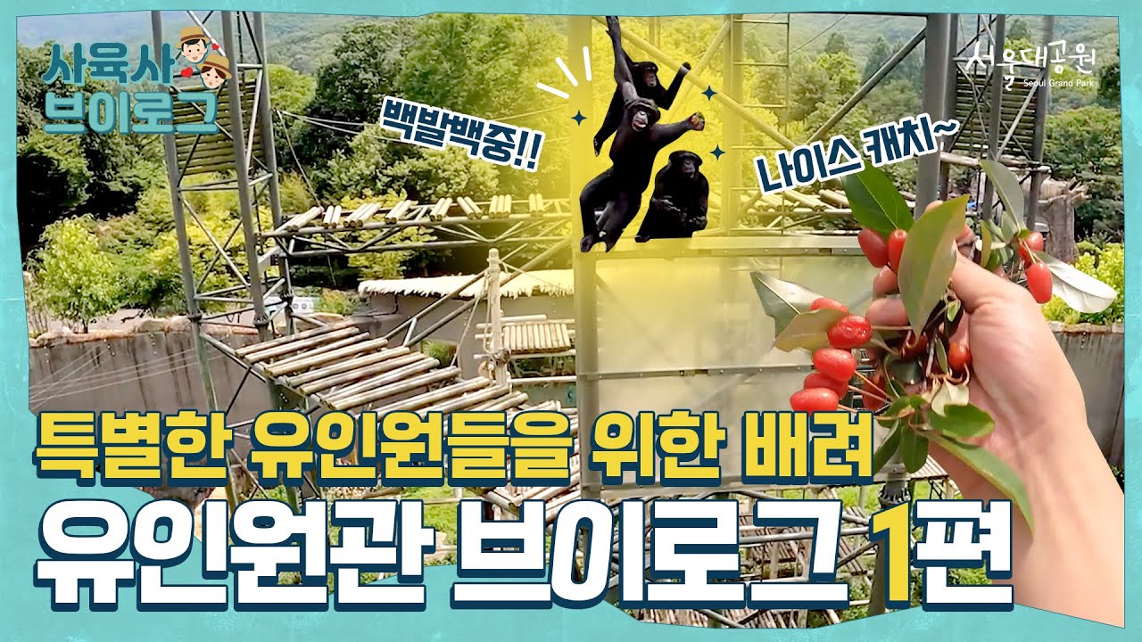 매력으로 자꾸자꾸 날 유인해!🙉 | You attract me with your charm!🙉