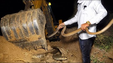 JCB की खुदाई से निकाले 2 सांप, बहुत दिन से एक ही जगह पर निकल रहे थे ये सांप #snakerescue