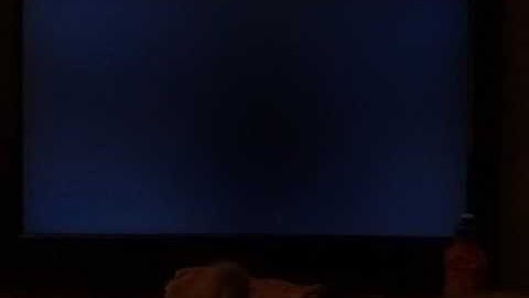 Just showing my friend how to start a game using the xex menu and forced hosts