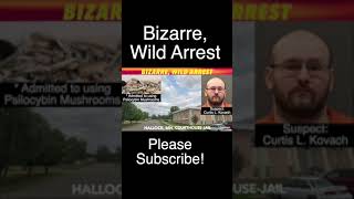 Bizarre, Wild Arrest In Hallock, Minnesota
