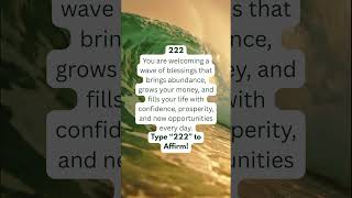 If you keep seeing Angel number 222 wealth #abundance