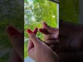 #couple #couplegoal #viral #viralvideo #trip #trendingsong #vlog #love #lovesong #romantic #nature