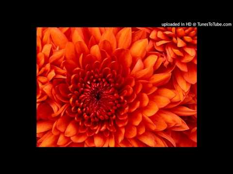 CHeB DJaLiL 2016 MeGa MiX DJ ILyas Remix Rai Jdid EXclusive Remix 