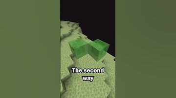 Elytra before Ender Dragon in Minecraft