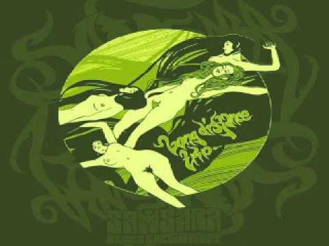 Samsara Blues Experiment -Wheel of Life