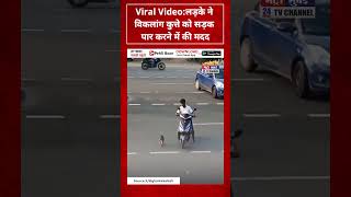 लड़के ने विकलांग कुत्ते को सड़क पार करने में की मदद