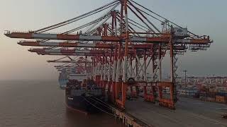 Container Operations At Yangshan Deep Water Port, China
