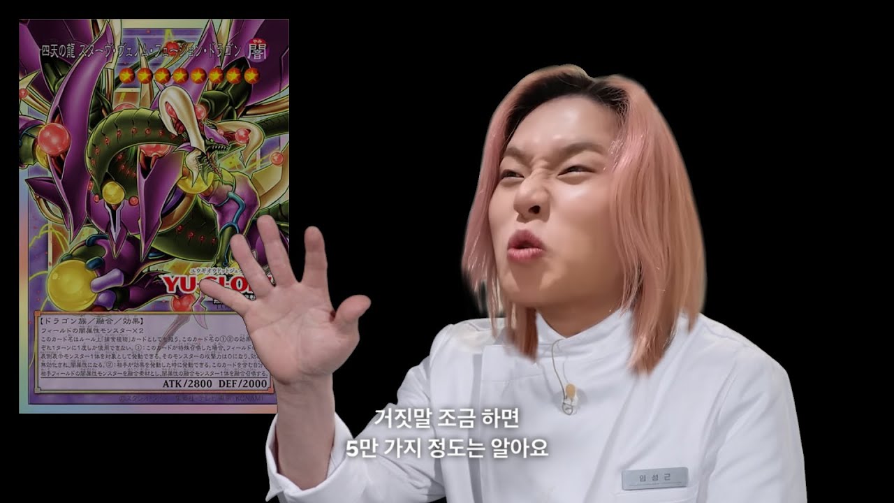 거짓말 조금 하면 5만가지 정도 레시피가 나오는 임짱드래곤