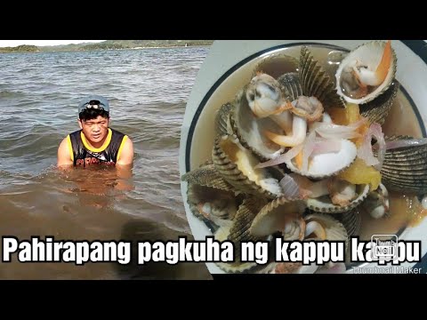 How to get live Cockle/Clam from Palaui Island(live Seafood) Cook and eat Cockle/Clam.