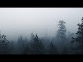 Pablo MaZa The Minimun Effect Official Music Video Pablo MaZa The Minimun Effect Official Music Video