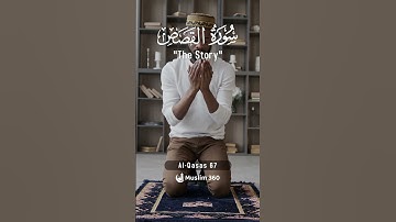 Surah Al-Qasas 67 | Hindi - Urdu Audio translation | سورة القصص #alqasas #hindi #urdu #viral