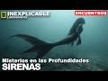 Encuentros con SIRENAS || Misterios en las Profundidades Mp3 Song