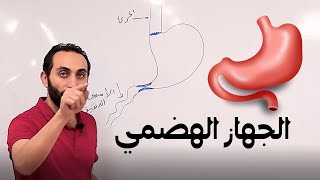 أحياء الصف الثاني الثانوي | الجهاز الهضمي | الهضم فى الانسان