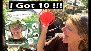 Garden Finds Best Hummingbird Feeder Mosquito Hat WALMART 99 Cent Store and a Chicken