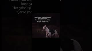 #Allahazankarincayakanattakar#hayır#şer#kesfet#gtp#fyp#lycris@youtube