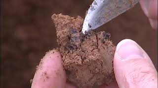 Agronomie organisation et fonctionnement sol screenshot 1