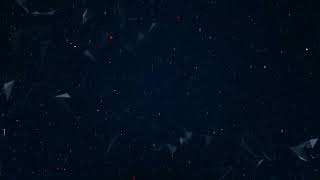 #Abstract Big Data Digital Business Hitech wallpaper big data business digital technology background