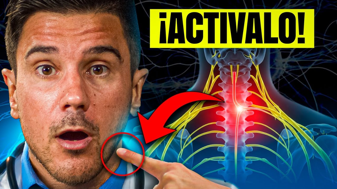 7 formas de Activar tu Nervio Vago que me cambiaron la vida