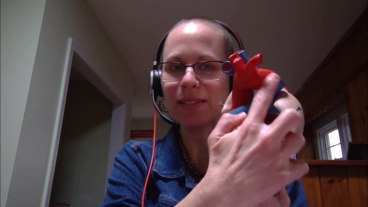 Biology 2020 Lab 4 Quiz Question YouTube