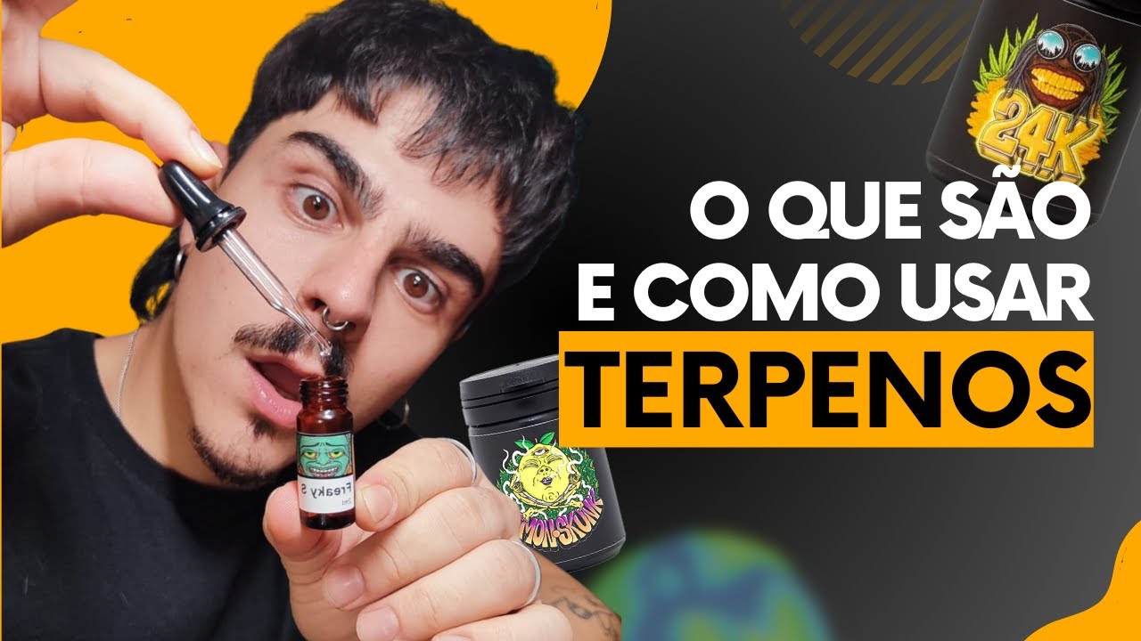 Pra que serve Terpenos?
