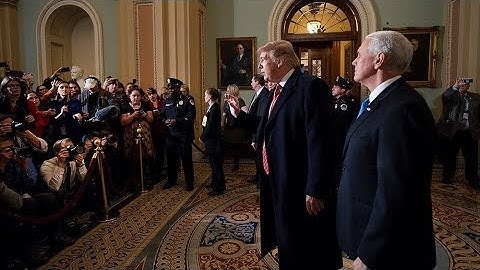 «Не стена, а красивая ограда». Как Трамп может договориться с демократами о постройке укреплений