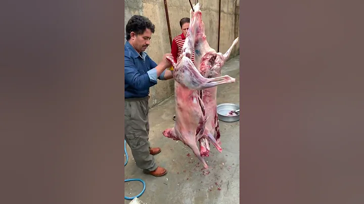 Lamb Butcher Video Iran