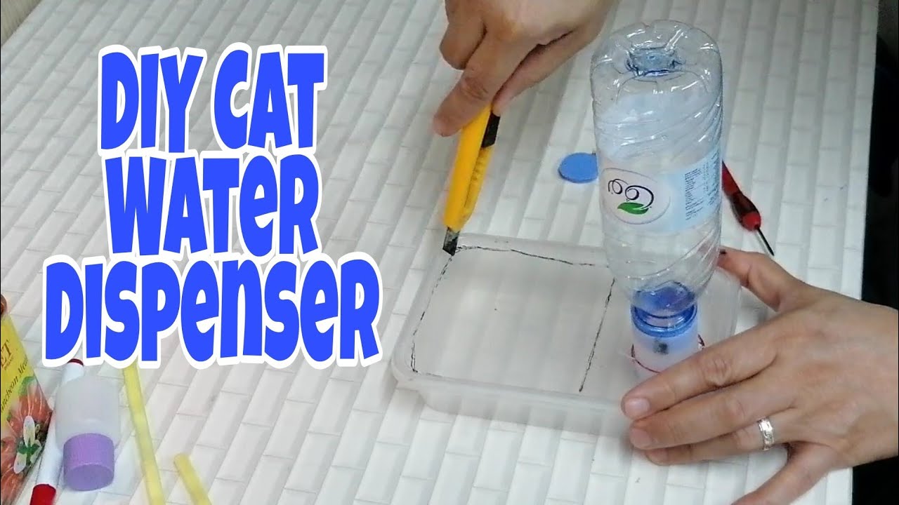 DIY Cat Water Dispenser YouTube