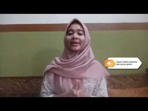 Video: Kanker Sel Plasma Pada Musang