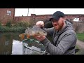 Catch 100's of Fish From Your Local Urban Canal!