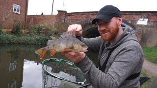 Catch 100's of Fish From Your Local Urban Canal!