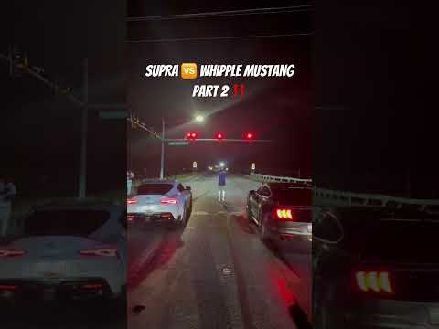 Whipple Mustang 🆚