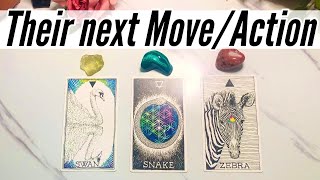 Will They Reach Out❓What Is Their next Action towards you?❤‍Pick a Card Love Tarot Reading✨