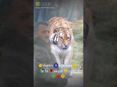 🌹🇧🇪🌹🦅🌹🦚🌹SLAV U REZ