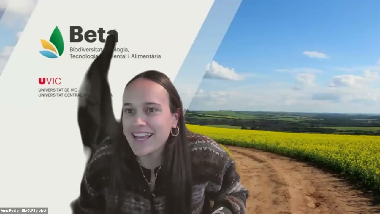 SEACURE Open Call Webinar: With Best-Practice Sharing across EU Cascade Funding Schemes