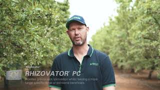 Improving growth and yield potential of almonds by leveraging biological synergy