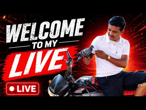Sanjay kumar Pigeon lover  is live!