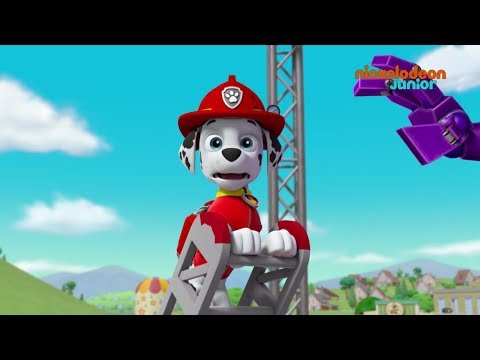Paw Patrol : la Pat'Patrouille | Lumière, moteur... Attention ! | NICKELODEON JUNIOR