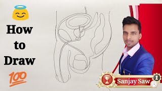 How To Draw Male Reproductive System | Fine Arts Guruji | Class12th