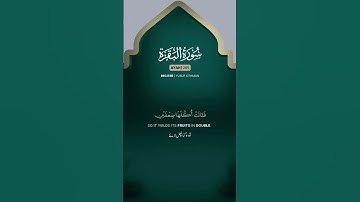 سوره بقره آیه 265 | یوسف عثمان #سوره البقره #1 دقیقه قرآن #واتساپستاست