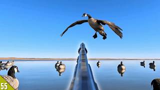Goose Hunting the REVERSE Migration (Limited Out) | Solo Hunt