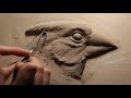 Kellie pereira  cardinal portrait bas relief sculpture process  instructional