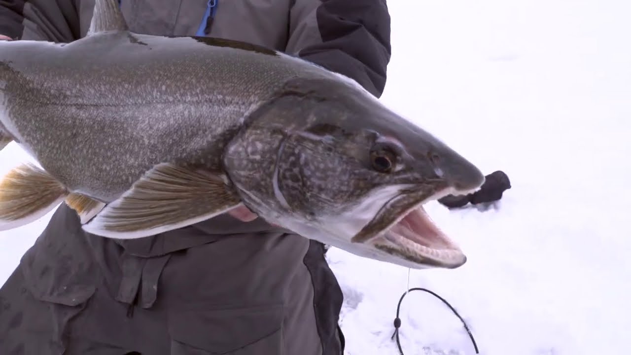 catching fish with pole 4 Ways to Catch Fish Without Using a Rod
