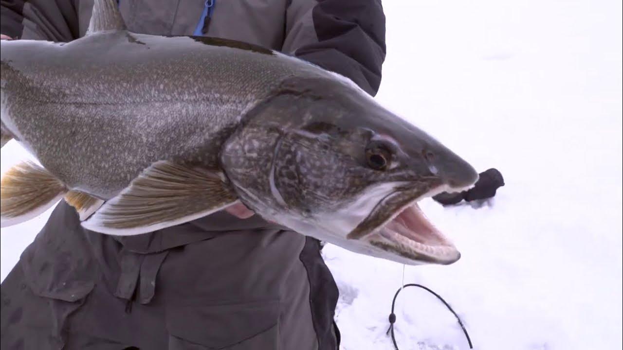 The Best Lake Trout Gear for Ice Fishing 