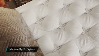 Colchão Refresh Wool da linha de luxo Carolina Mattress Guid screenshot 5
